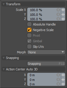 Scale Tool Panel